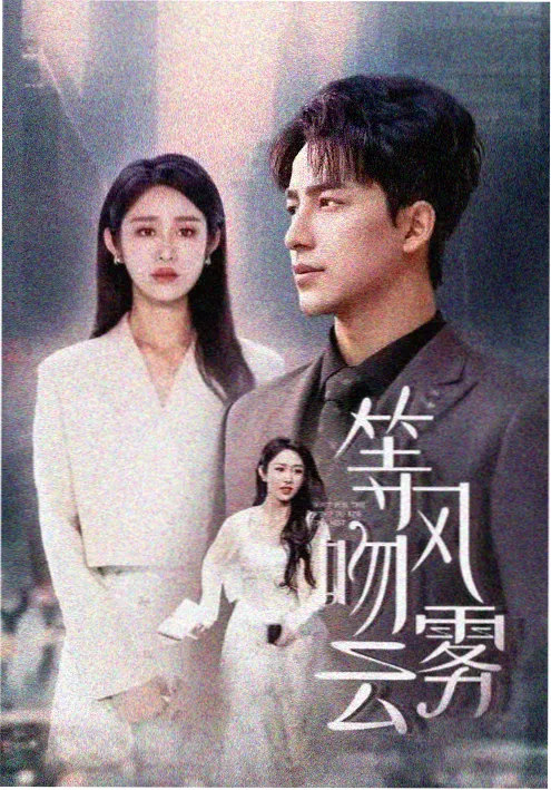 韩剧请回答梧桐洞海报